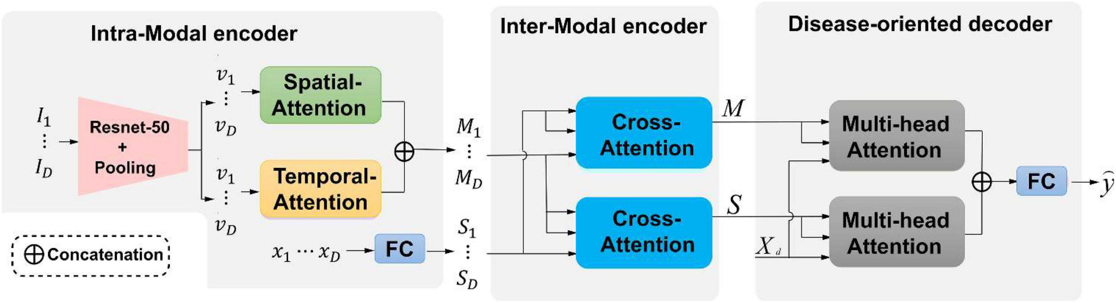 Toward attention-based learning to predict the risk of brain degeneration with multimodal medical data